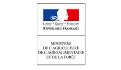 在日フランス大使館